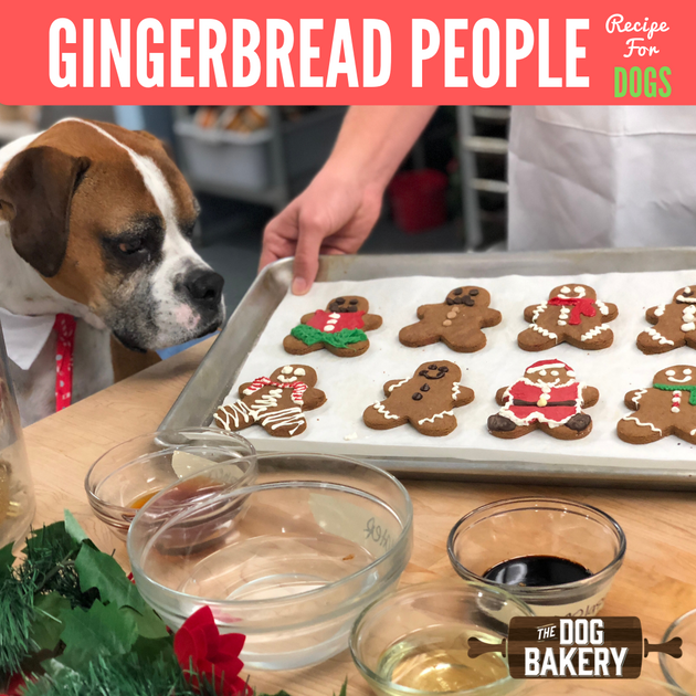 is gingerbread good for dogs