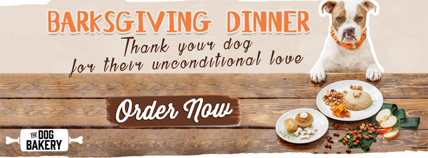 The Dog Bakery's Barksgiving Dinner is a safe and healthy Thanksgiving Dinner for Dogs