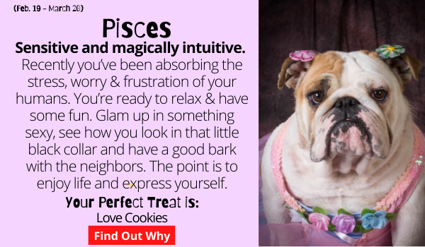 Pisces Pups are sensitive and magically intuitive. For the past few months you’ve been absorbing the stress, worry and frustration of your humans. Coupled with the annoyances of the Mercury Retrograde (where did you hide that bone?) you’re ready to relax and have some fun. Glam up in something sexy, see how you look in that little black collar and have a good bark with the neighbors. The point is to enjoy life and express yourself.    Your Perfect Treat: Cup O Bones . Find out why