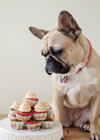 pumpkin cakes for dogs