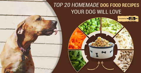 healthy homemade dog food recipes 