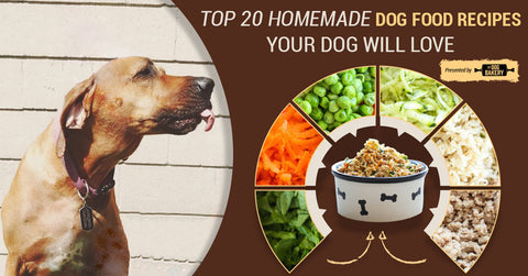 best homemade dog food