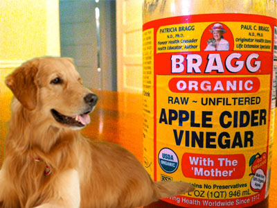 vinegar water spray for dogs