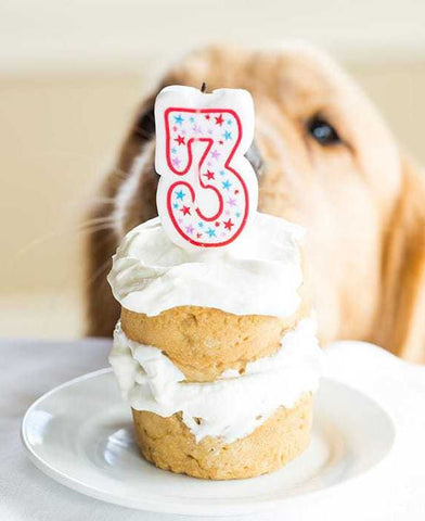 nut free cakes for dogs