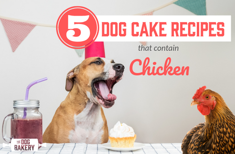 Chicken Dog Cake Recipes