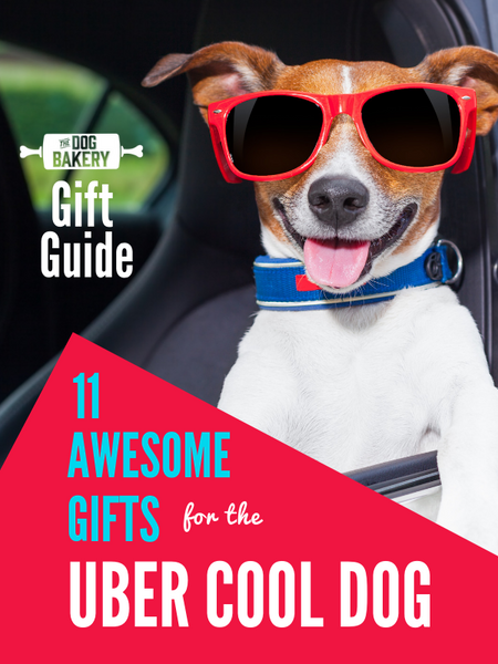 gift guide - awesome gifts for dogs 