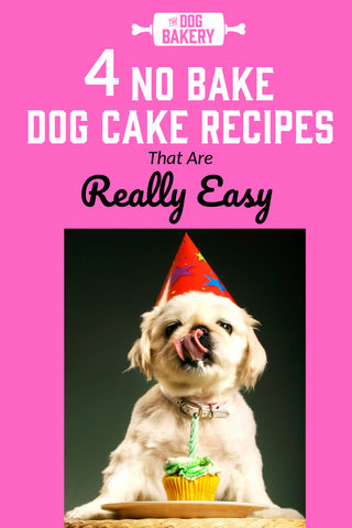 no bake cake for dogs