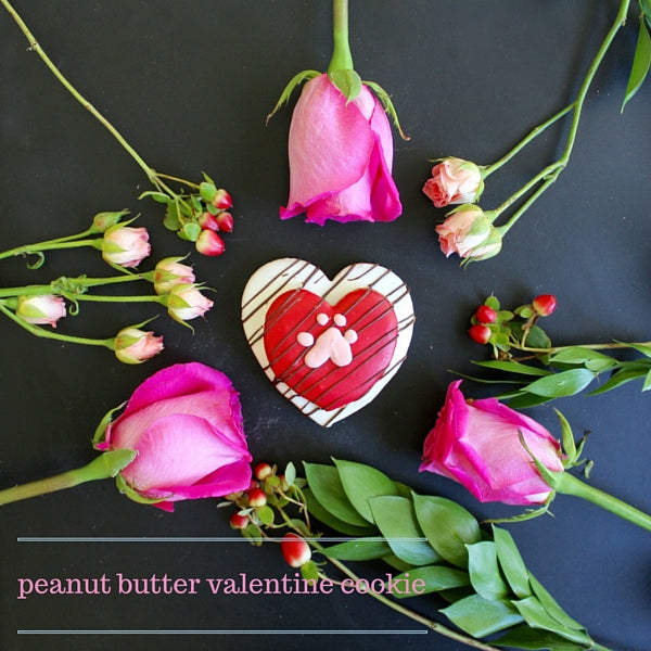 The Dog Bakery's peanut butter valentine cookie 