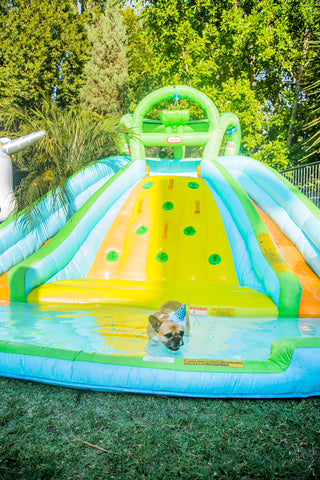 a water slide is a fun activity for a dog park