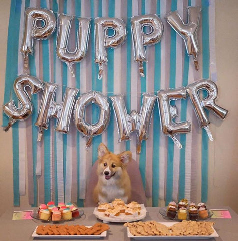 puppy party ideas