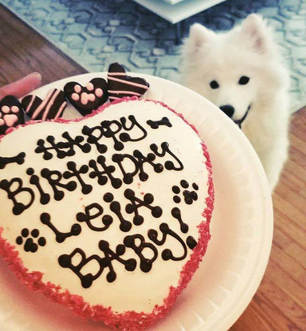 heart shaped cake from the dog bakery