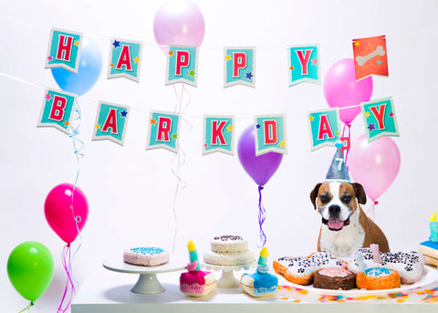 happy birthday dog banner