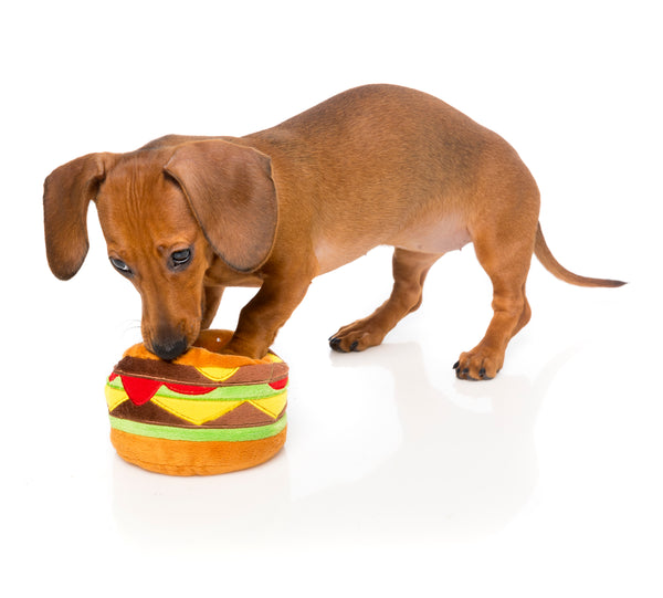 plush hamburger dog toy