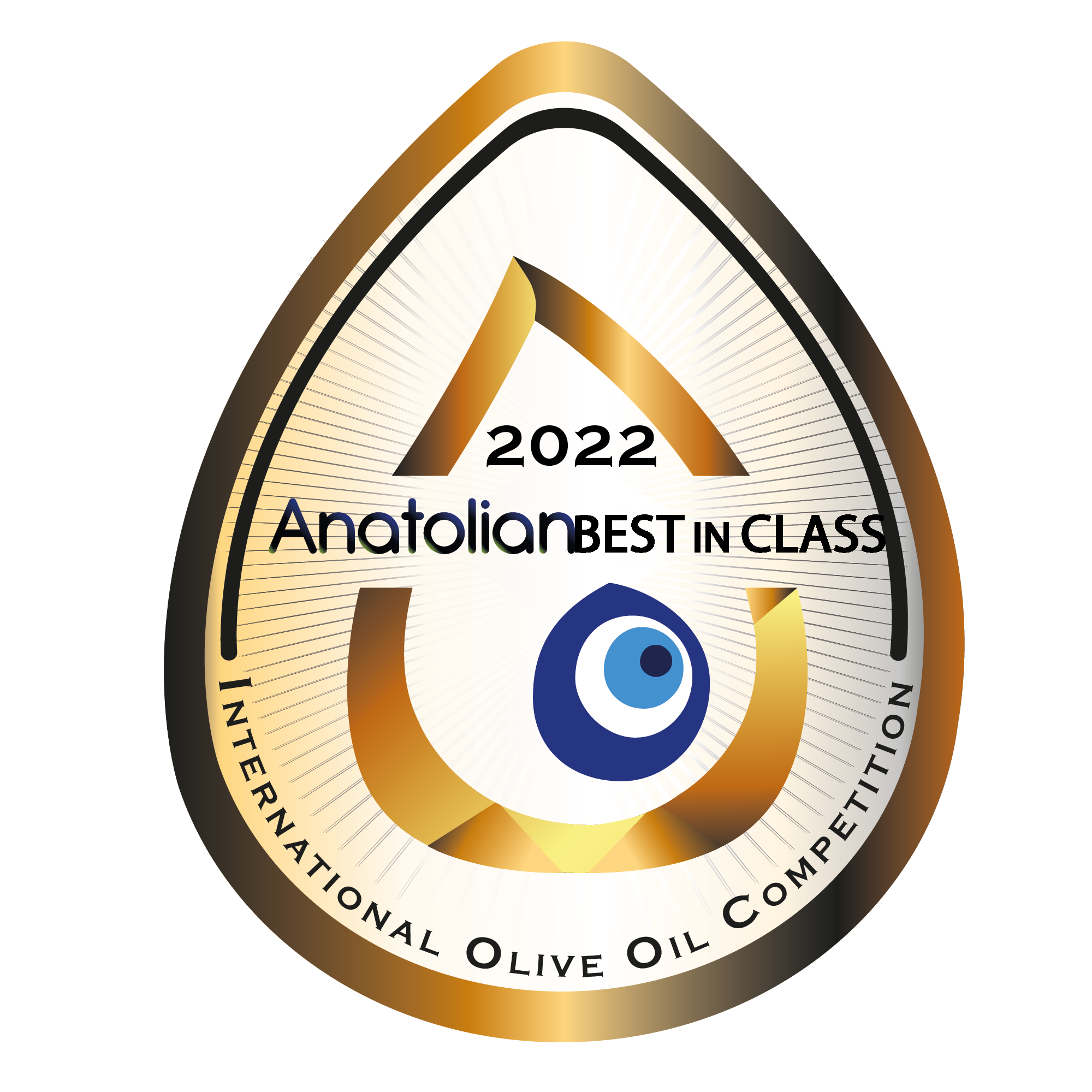 Uluslararası Anatolian IOOC Yarışması Anatolian Best in Class