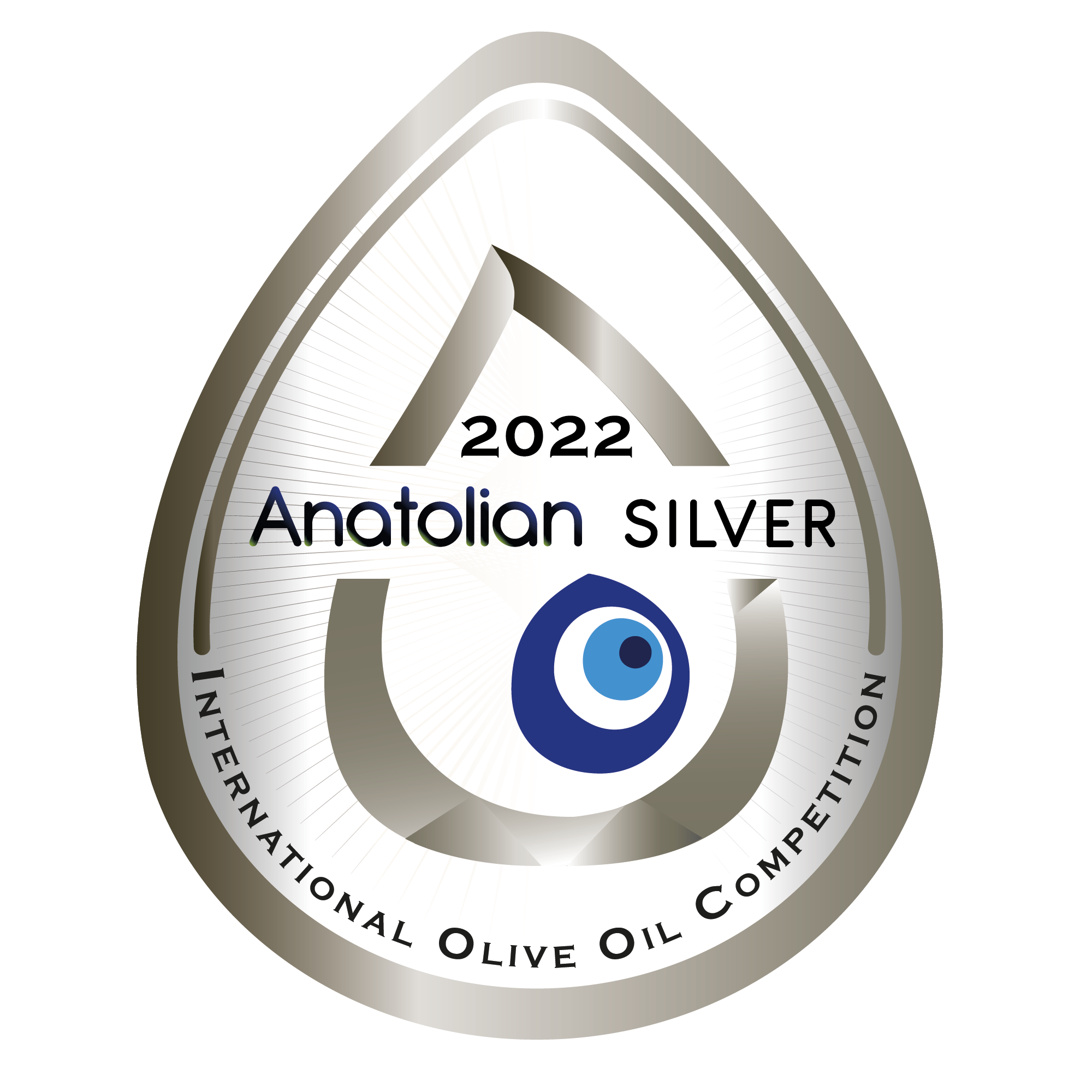 Uluslararası Anatolian IOOC Yarışması Silver Award