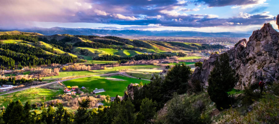 Is Delta 9 Legal in Montana?