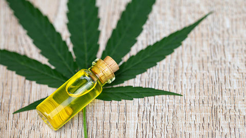 CBD Oil on hemp leaf