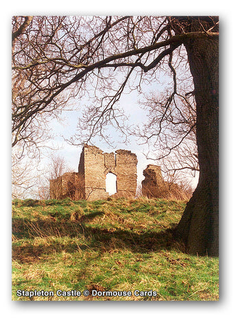 Stapleton Castle © Dormouse Cards