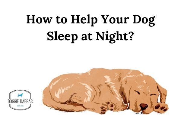 what can i do to help my dog sleep at night
