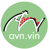 logo AVN -  BBN