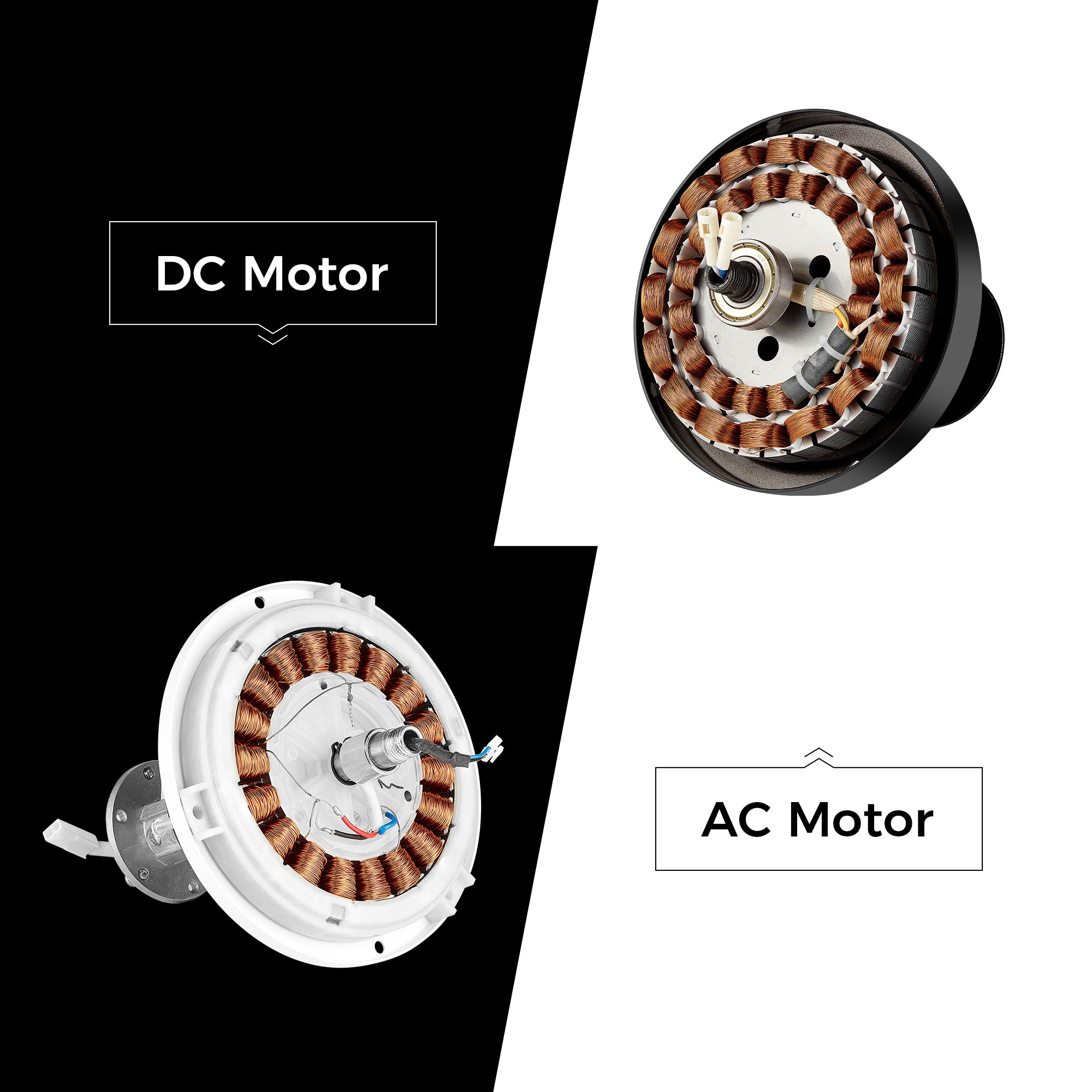 Knowing the Difference: AC Motors