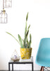 Fabric Buckets | Doodle Plum