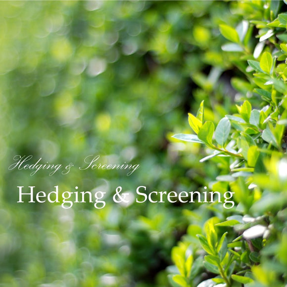 Hedging & Screening