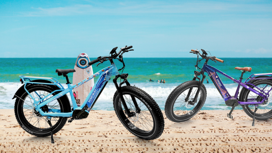 Himiway to Release Limited Edition Ebikes in California and Florida—A Collaboration with Users