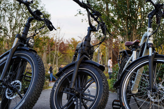 Unlocking the Benefits of Dual-Battery eBikes: What You Need to Know