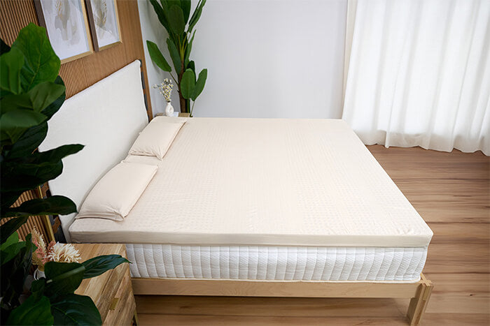 Soft Mattress topper with pillow