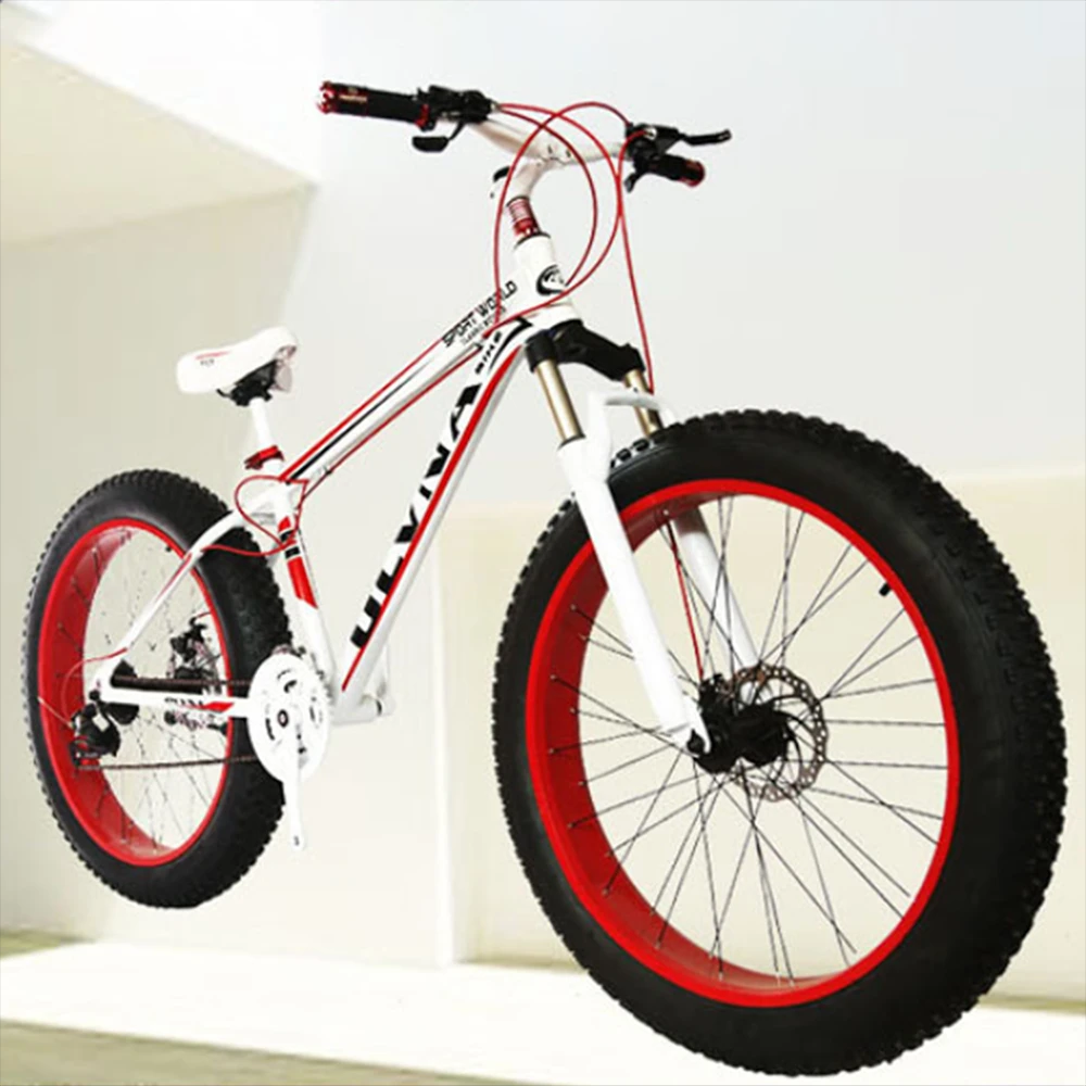 cruiser bicycle with disc brakes