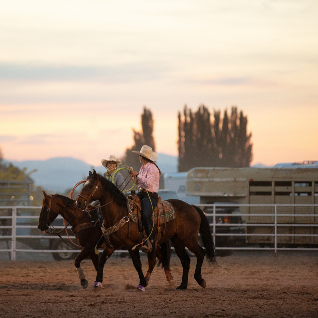 what size saddle for a 14 hand horse