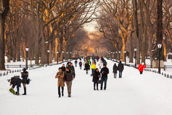 central park in winter how to keep warm blog by seahorse silks