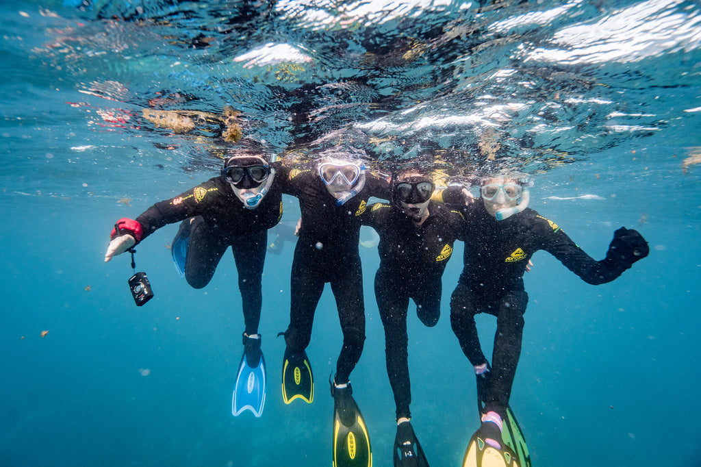 girls getaway swimming with whale sharks in ningaloo