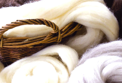 wool from shahtoosh antelope blog by seahorse silks