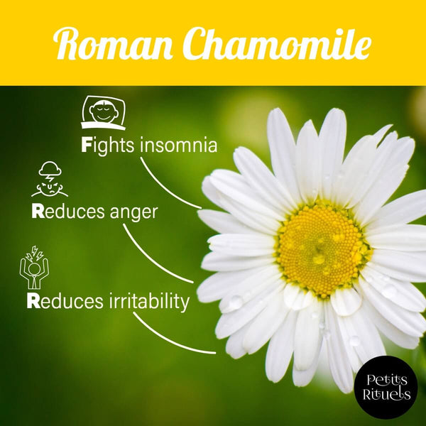 Roman Chamomile essential oil benefits.