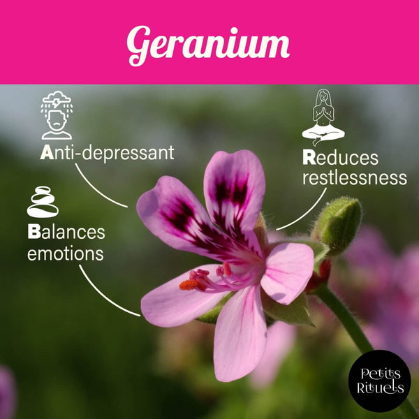 Geranium essential oil emotional benefits.