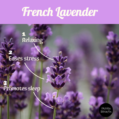 Lavender Essential Oil benefits are: relaxing, eases stress and promotes sleep.