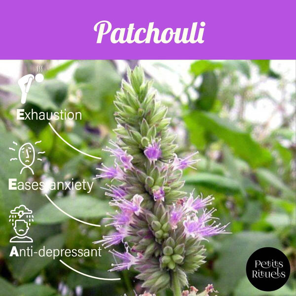 Emotional benefits of patchouli essential oil.