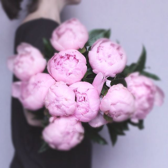 Large bouquet of pink peonies.