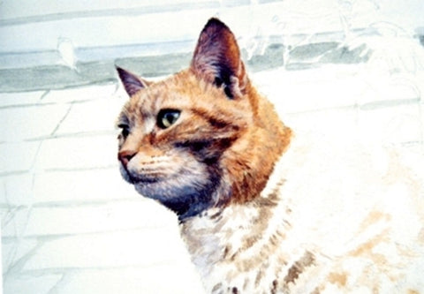 Ginger cat face painted in Acrylic paint