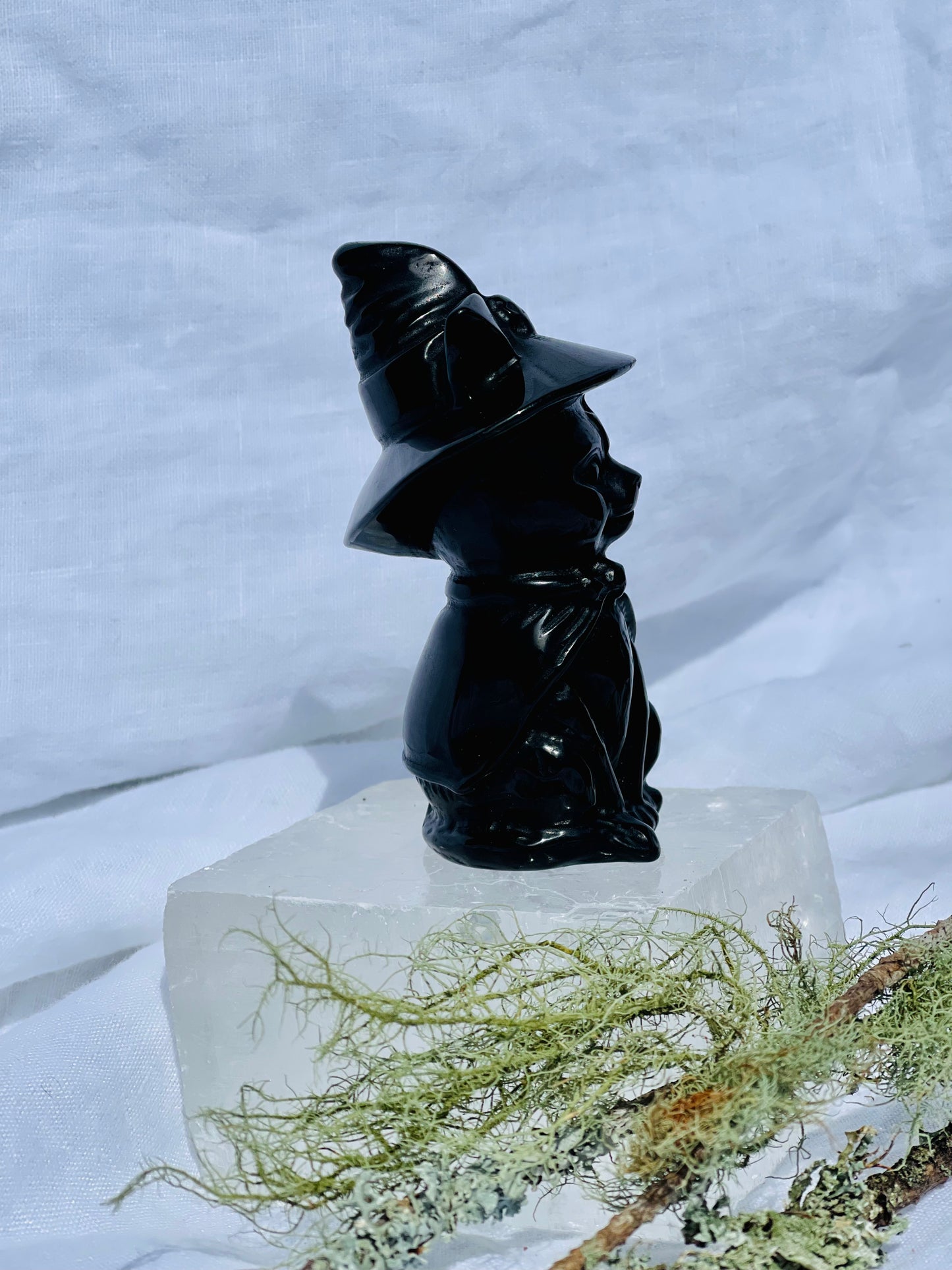 Obsidian Witch Cat