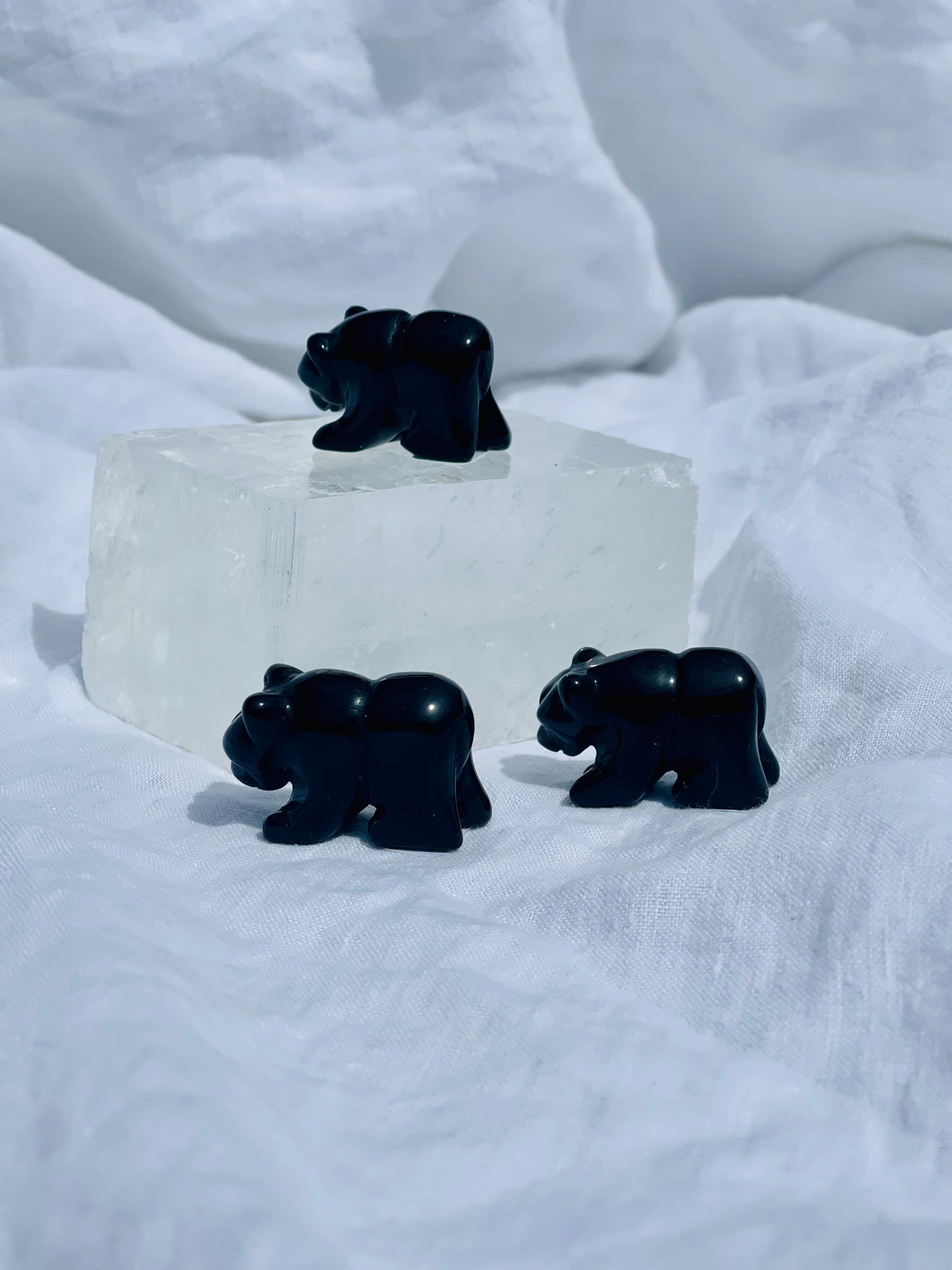 Black Obsidian Bear