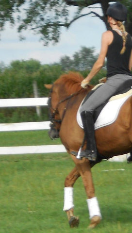 Training a young horse, an OTTB, or a sensitive horse. 