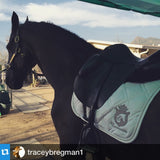 Tracy Bregman's Friesian in his Equestrianista Collection dressage saddle pad.