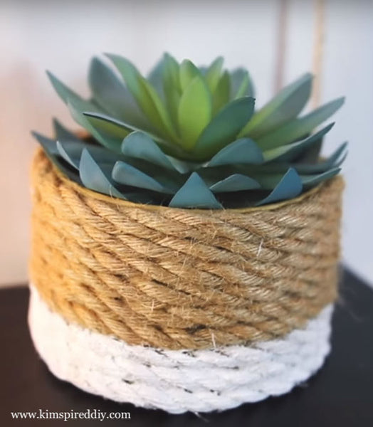 Close up image of a small succulent in a rope-wrapped jar 