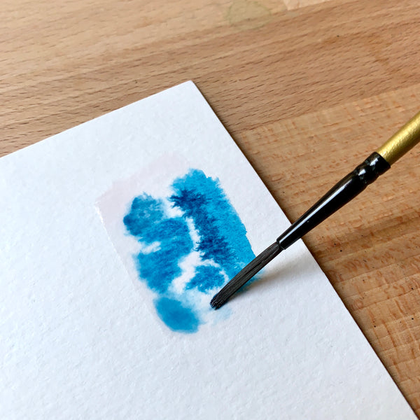 Close up of brush filled with blue paint on paper
