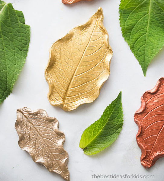 Flaylay image of gold, orange and green leaves on a white table