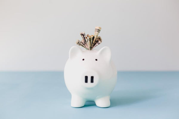 White and blue background with white piggy bank in foreground and money coming out 