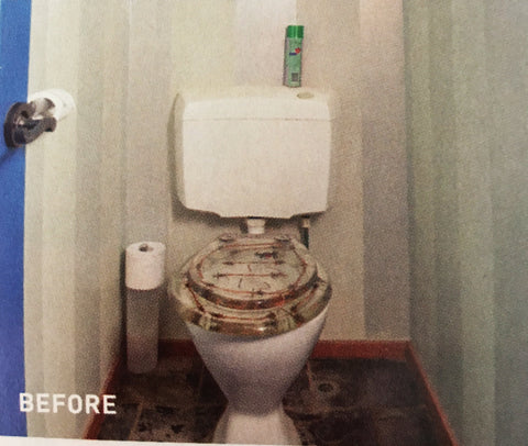 bathroom sink loo renovation DIY